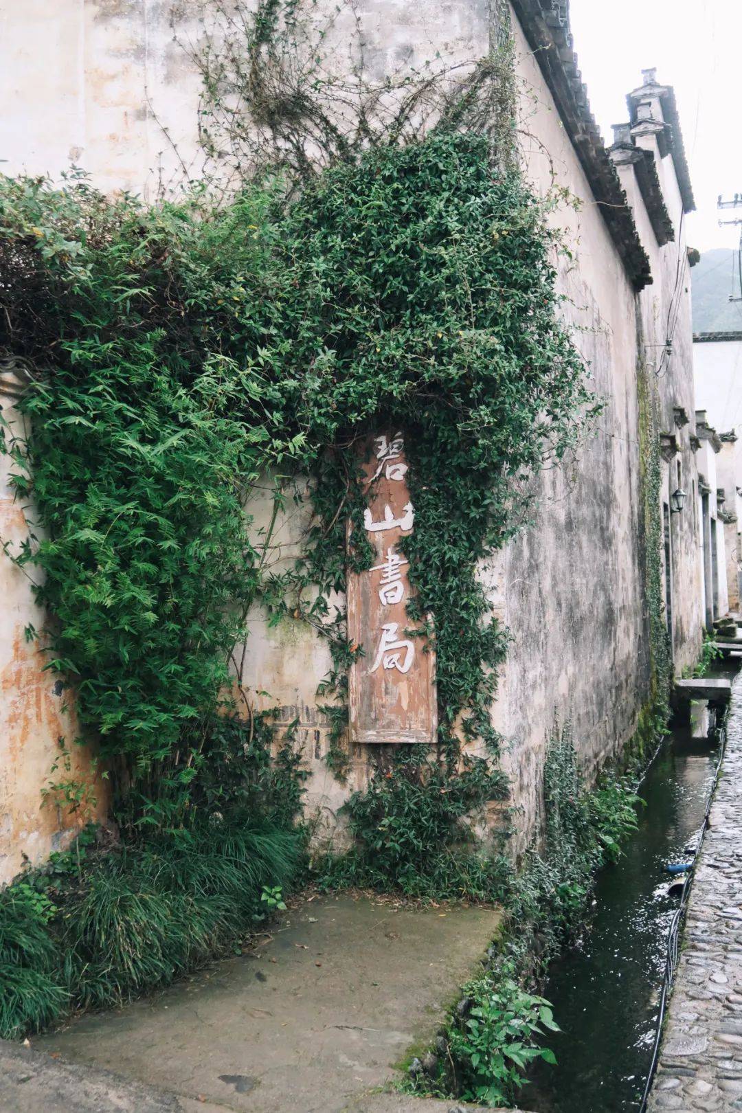 中国最早的艺术振兴乡村实践——碧山计划_碧山村