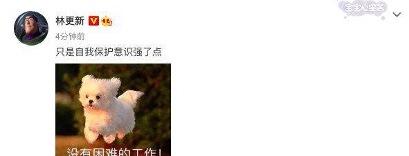 相遇别离 定档11 19 林更新富二代造型吸睛 剧情跌宕起伏 季晓鸥
