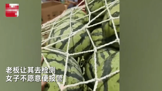怎么才能做好一个西瓜品牌 805a1f9a2f3d48a0b639d015e17e441c.png