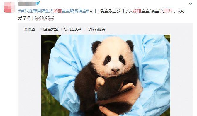 原创无知惹众怒,blackpink带妆抱熊猫,吴宣仪涂口红亲海豚