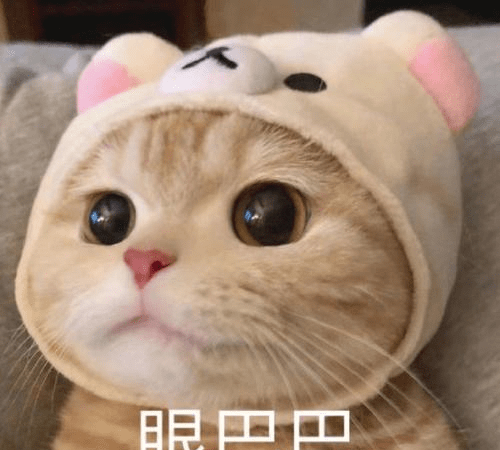 48fb16d278c34337876476ade182af02.png