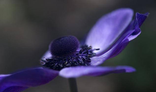 5月17日开始未来一周运势飙升 天降横财 名利双收 富贵满满的星座 生活