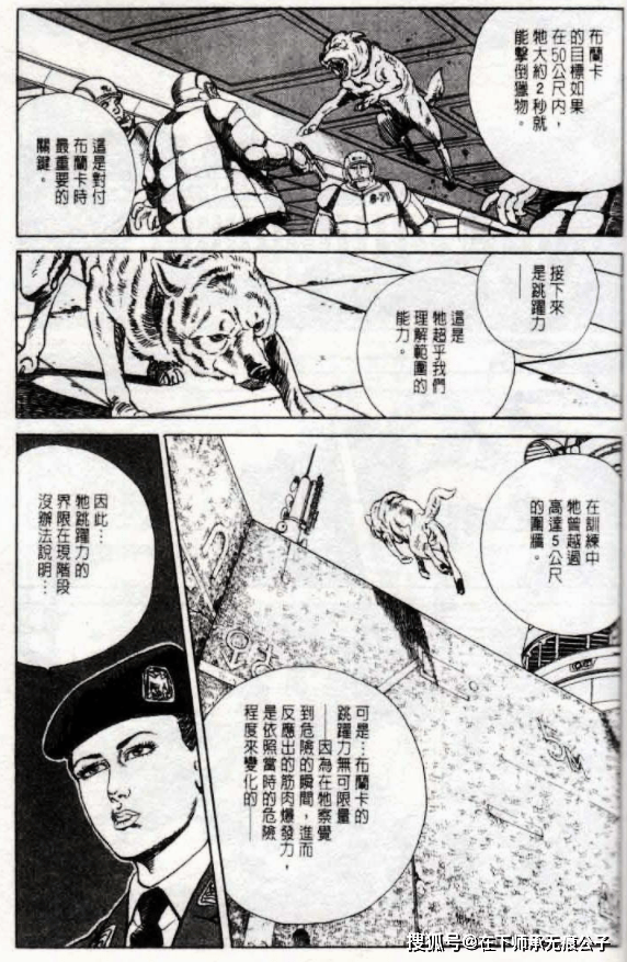 谷口治郎的神之犬一条有着核弹危险系数的狗野性与野心较量