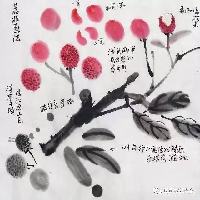 详细的荔枝写意画法，一学就会_步骤