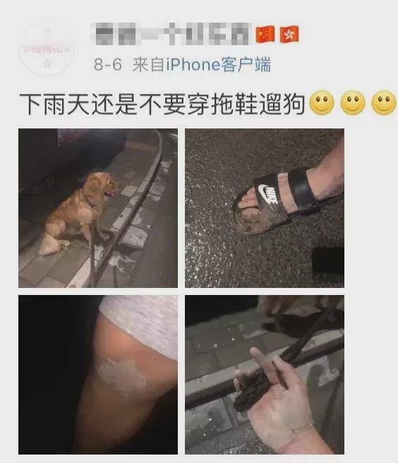 千万不要穿拖鞋遛狗，网友：试试就逝世…