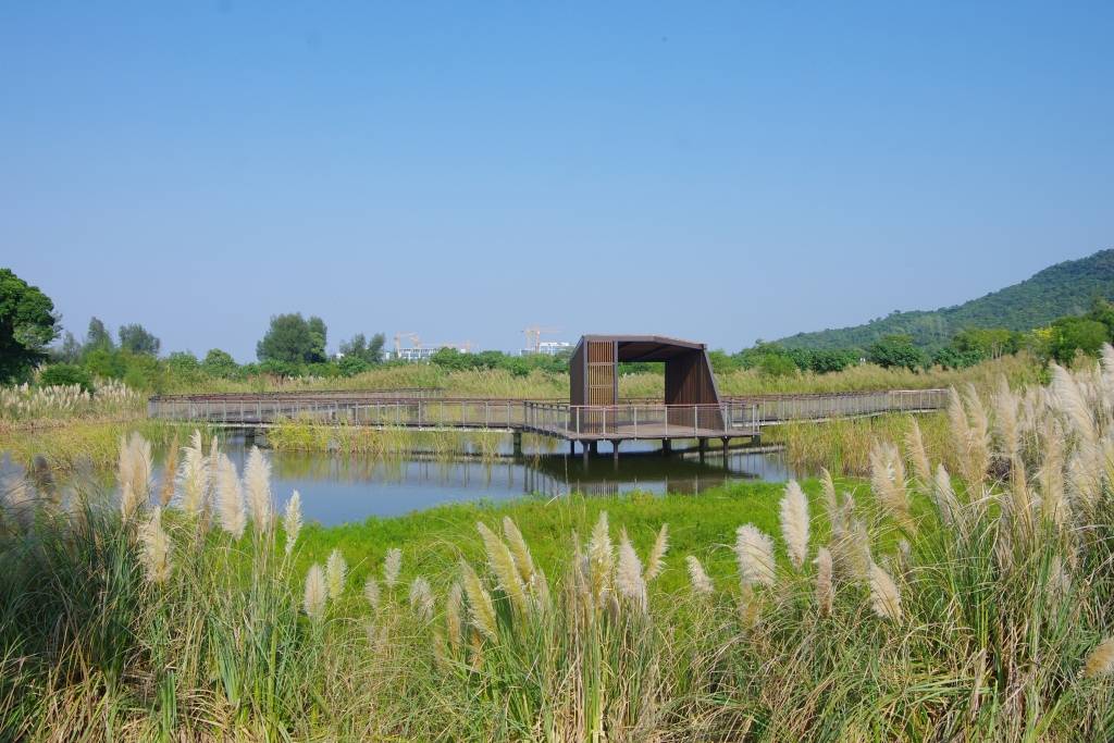 坝光村图片