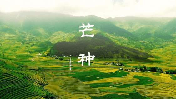 什么叫大满小满 22f3b522bf5c4618ac8ce1f49b0c746b.png
