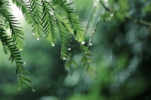 7941cf4e79bc4d2aa6dc06e78d070950.png