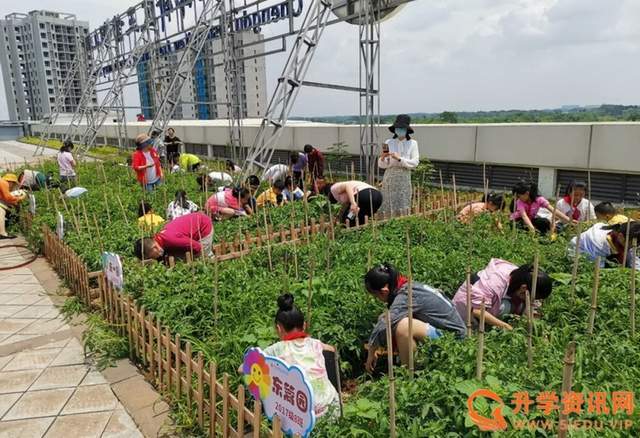 原創走進思源農場推進勞動教育三岔湖小學開展勞動教育課程實踐教育