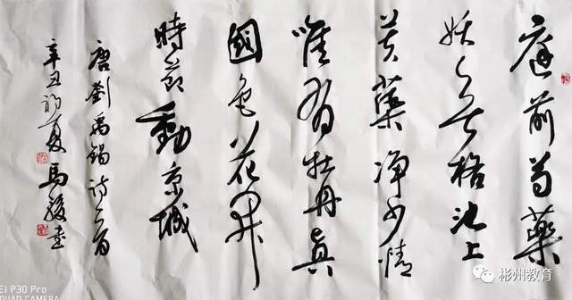 原创彬州市教育局举行中小学体音美教师基本功展示活动