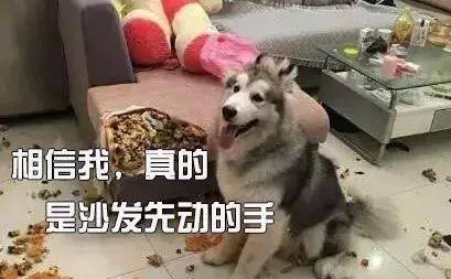 a13ce28ae5174c34b014db6f07b2e28e.jpeg