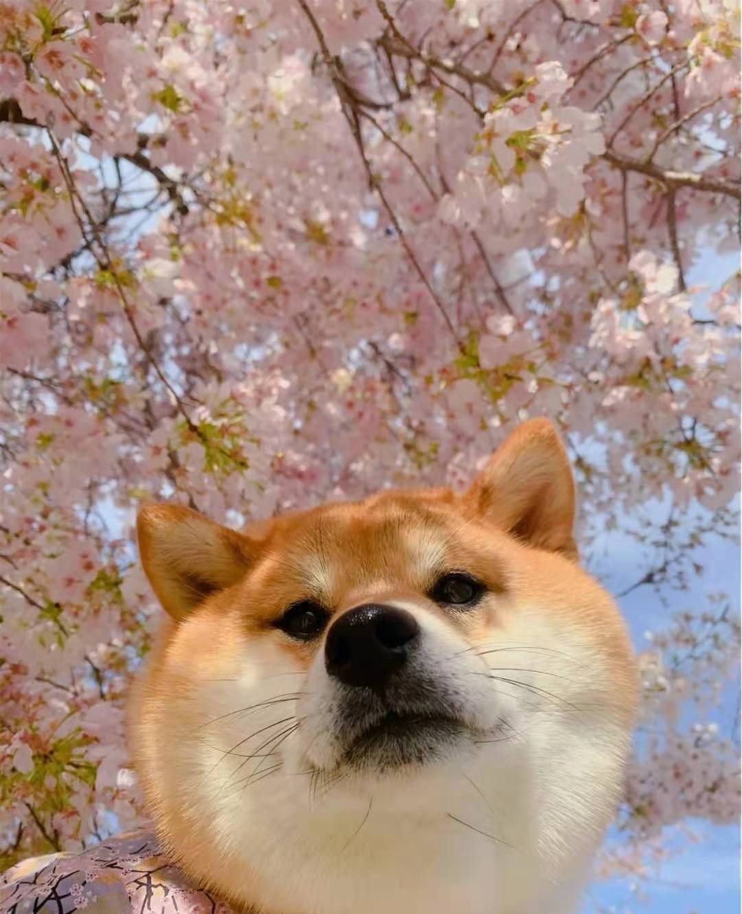 d9b62ee203b7416698b10c1c61ade28c.jpeg