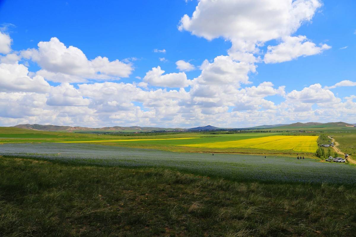 中国最美大草原风景图片 e7c76823ee4642199a396cce81c8b377.jpeg