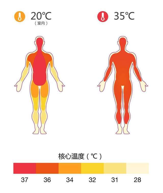 失温,就是人体热量急剧下降,核心温度低于350℃时的情况