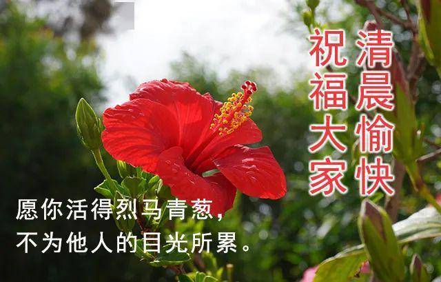 5月24日星期一早安温馨问候语图片周一免打字早安问候祝福语图片带字 人生