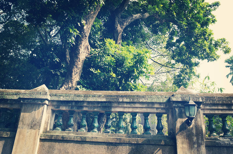 21高考冲刺提分宝典 高中数学48种快速做题方法 函数