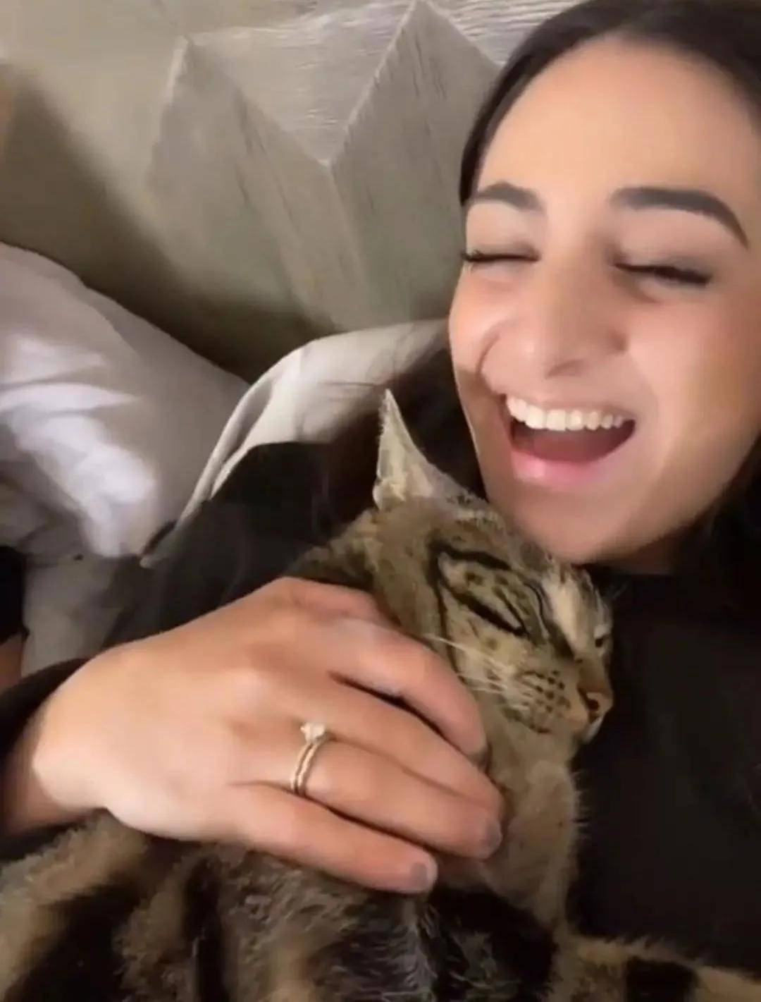 做spa,受主人宠爱万千的这只猫咪居然是"土猫"_chase