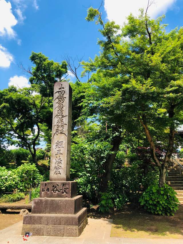 东京周边的一处赏花踏青的寺庙 有一万株绣球花和五千株菖蒲花池 紫阳花