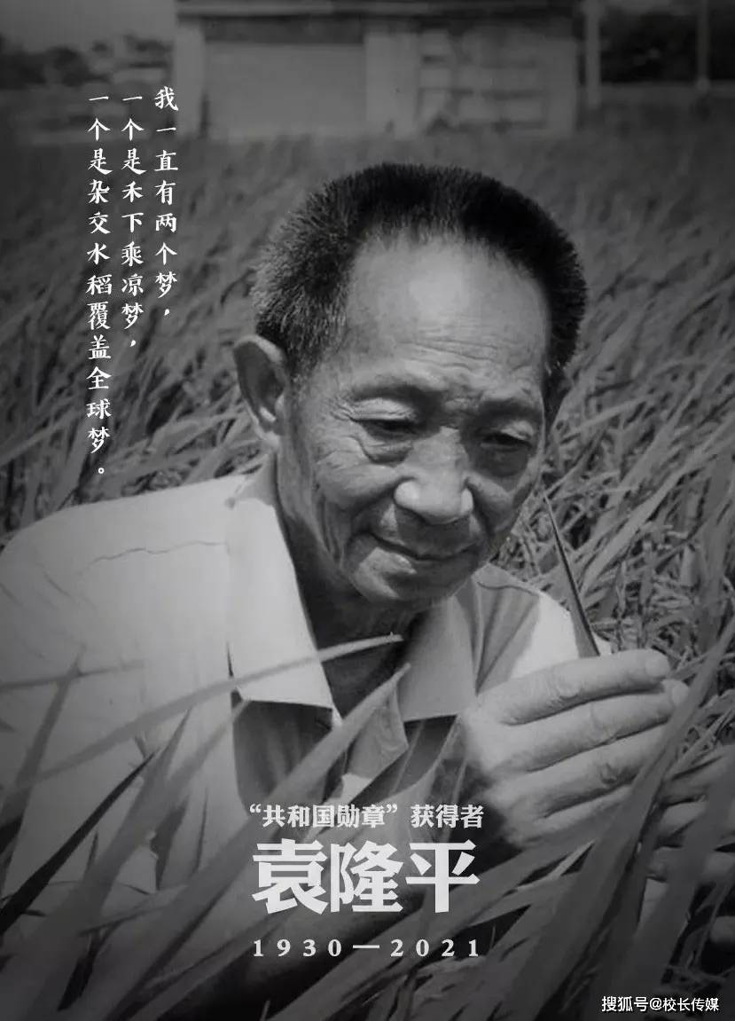 教育家 袁隆平 唯有品德和情操 才是打开宝库的钥匙 孩子