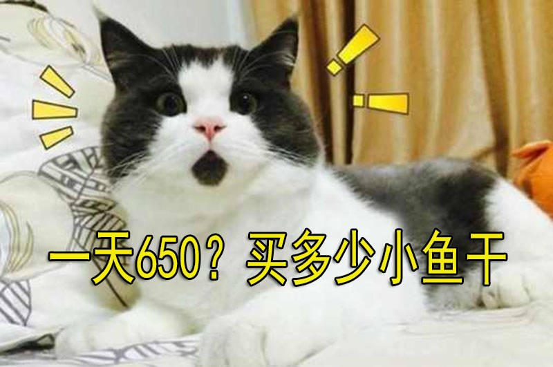 1a69d487b5c441fab3d61a82621b8ffa.jpeg