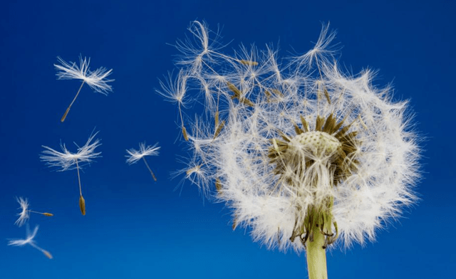 如何让自己变得幸运起来 96b3d7fafb4b4dc89c7ad62a10c24edf.png