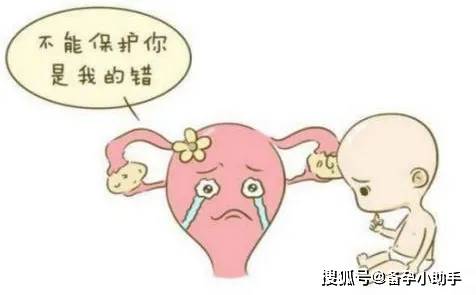 怎么才能不怀孕率高呢 300fd0d6ba104b1f894a15b5ed0623a4.jpeg