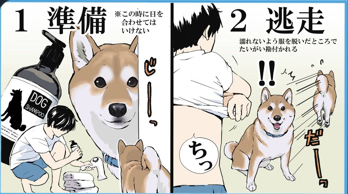 图片[1]-日本画师分享给狗狗洗澡的全过程，各种逃跑可太真实了-魔性次元