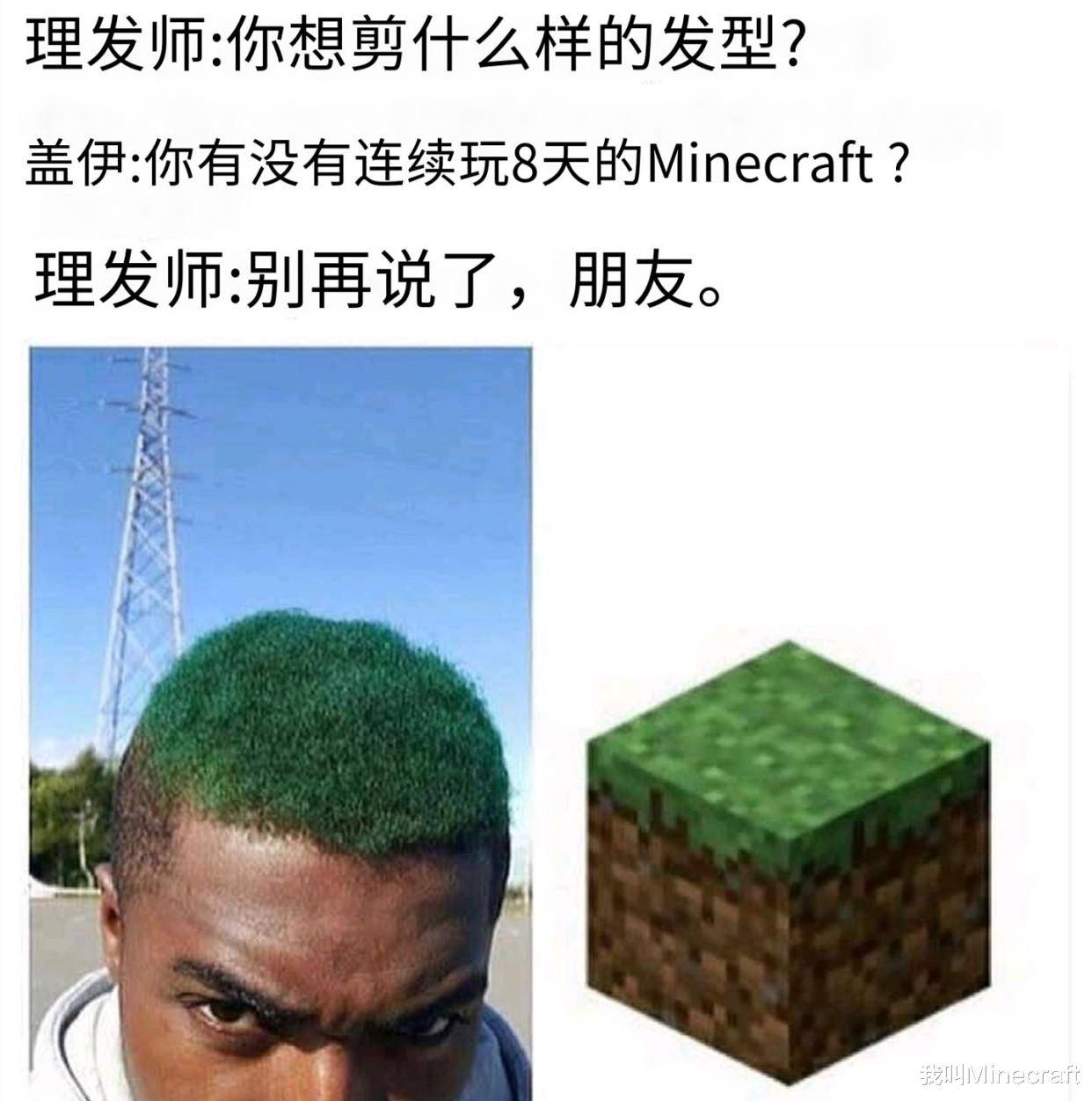 来自网络的11张趣图 只有minecraft真正老玩家才看懂的 梗 合成