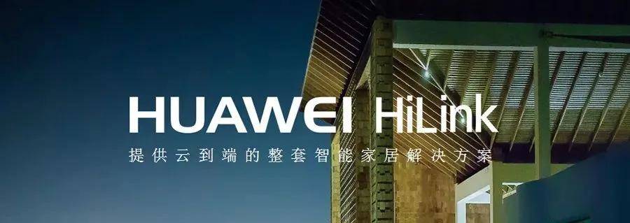 浪木huaweihilink生态伙伴2021共享财富与大势同行