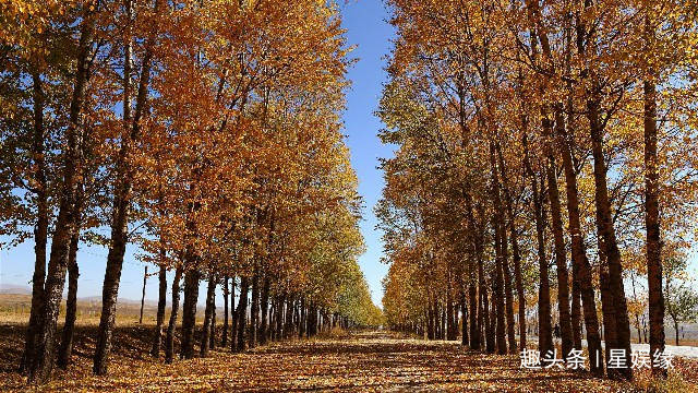 光速跑者21号在哪个平台看 11e12fb42e854a5bbbccc988b3d68c88.jpeg