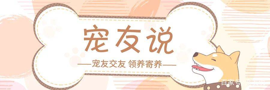 怎么看宠物的健康情况