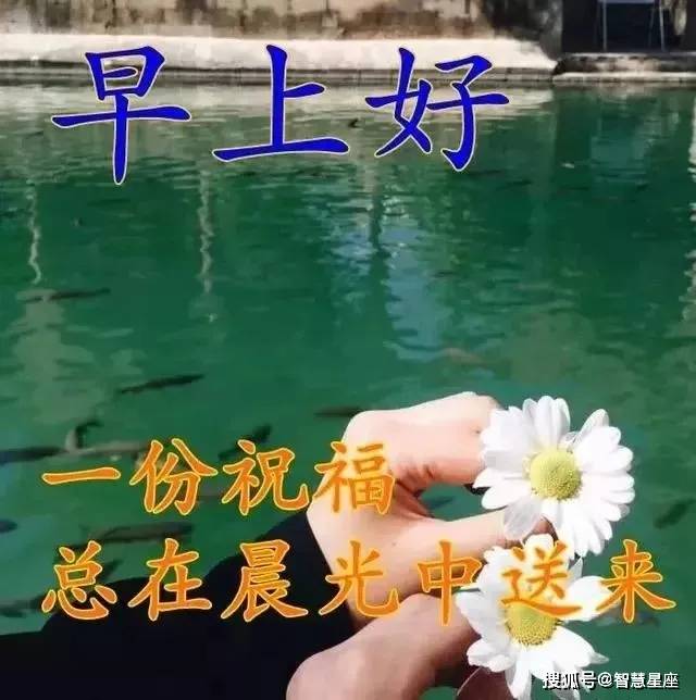 51015a0c8c61407f949bf652557419c5.jpeg