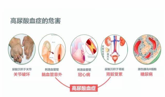 哪些属于高热量和高脂肪 79e8cbcb38de4838a4282cf78b21085b.jpeg