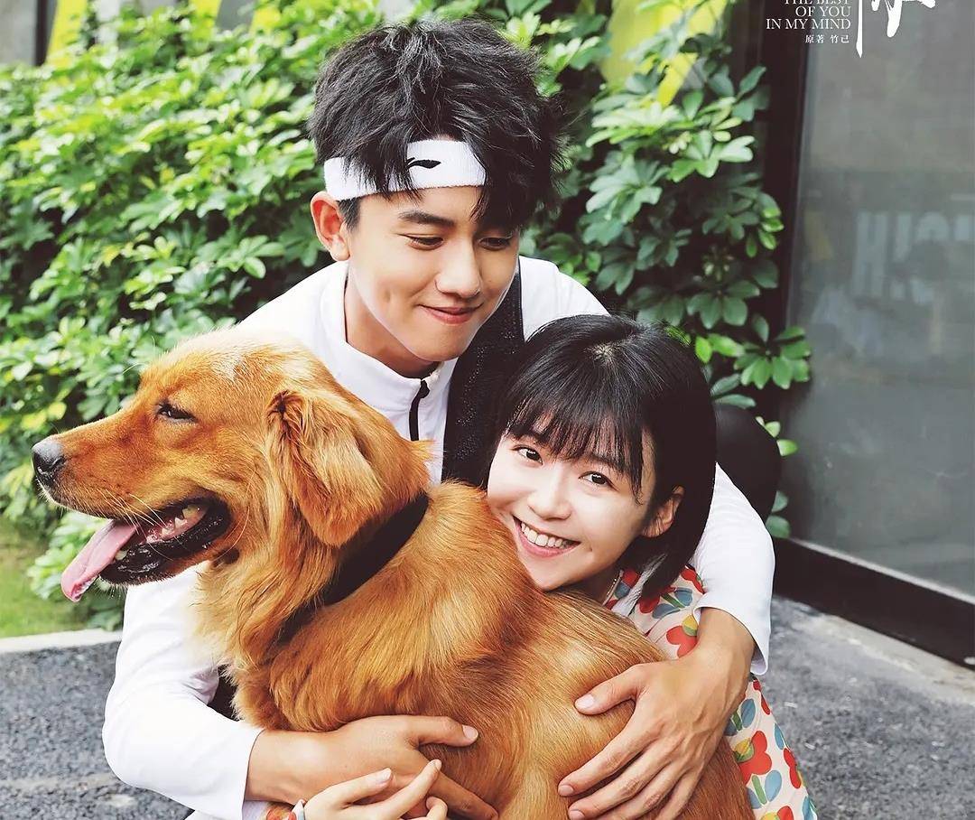 他一天表演没学过,却连演四部男主角征服观众_张耀