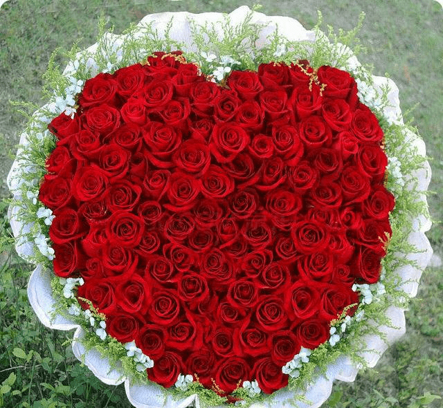 8c3de6bcfa2c42d2be195c9d86738704.png