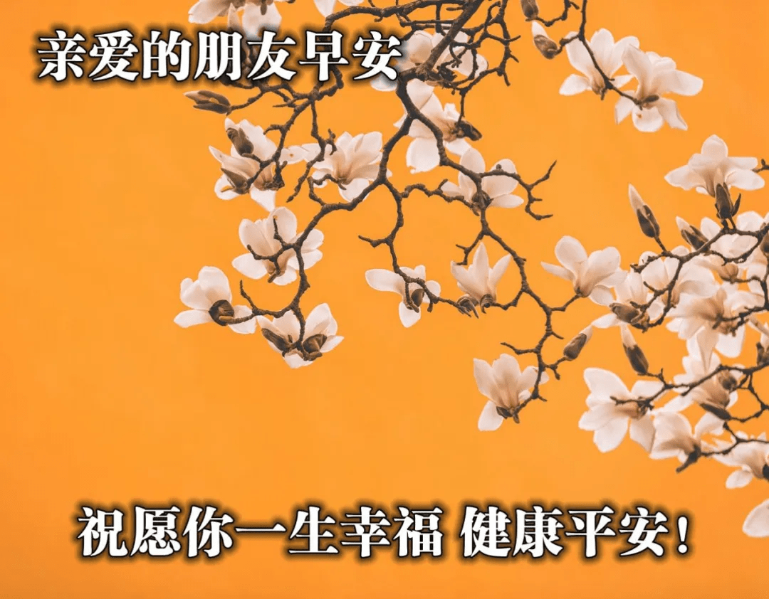 原創早安祝福精選詞語願你的生活春光燦爛幸福美好早上好