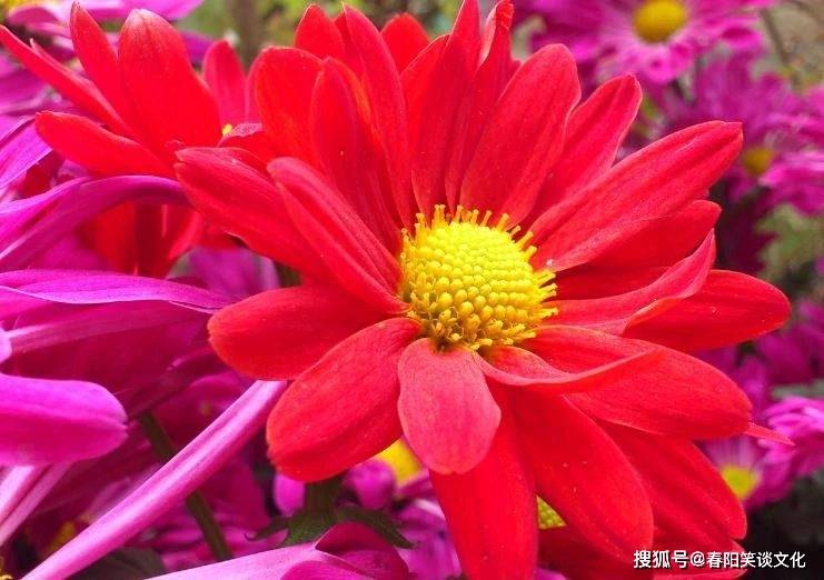 a1d28d85564c4ff8afa822851ca10e7d.jpeg