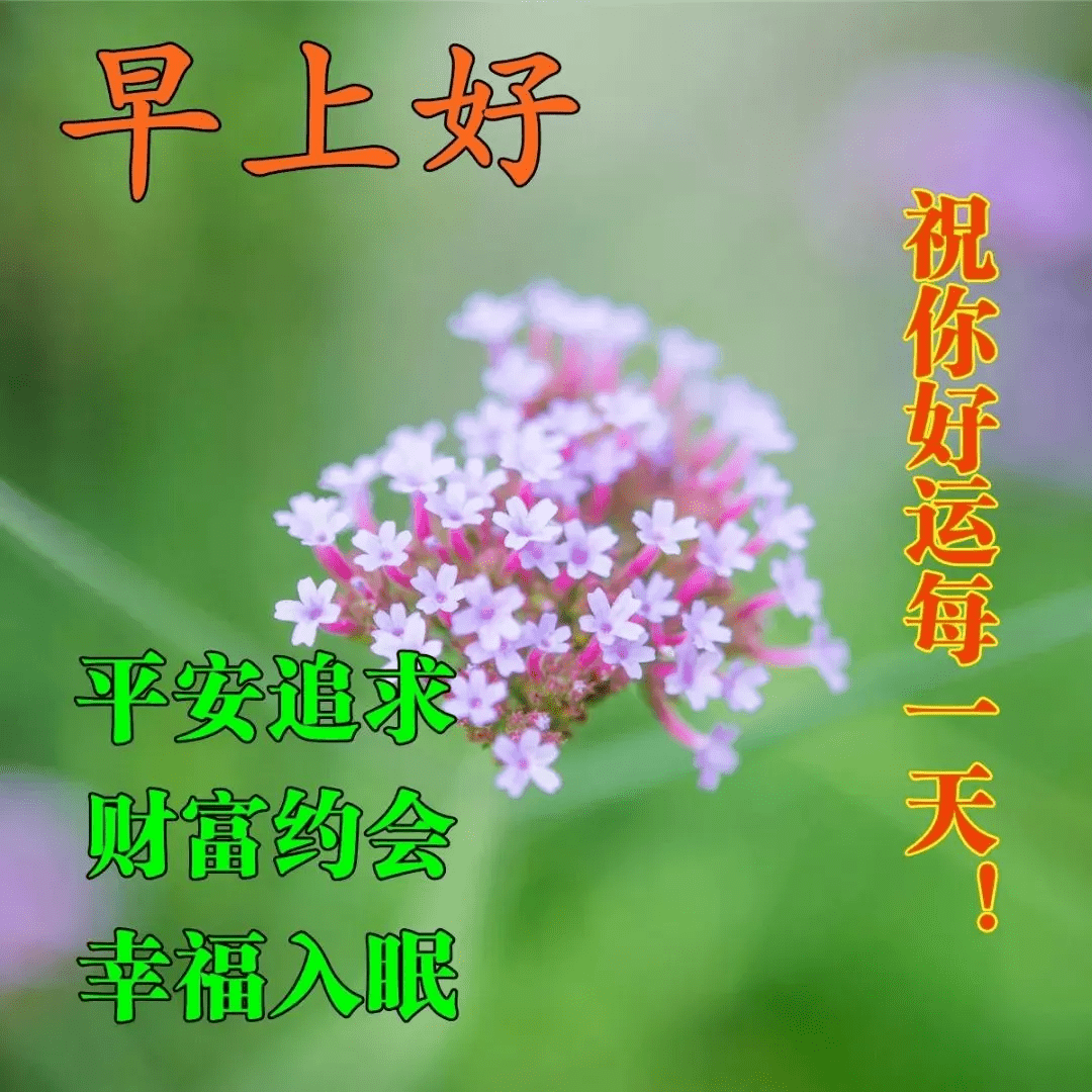 b5305972acf742a68007bbc57fe03207.png