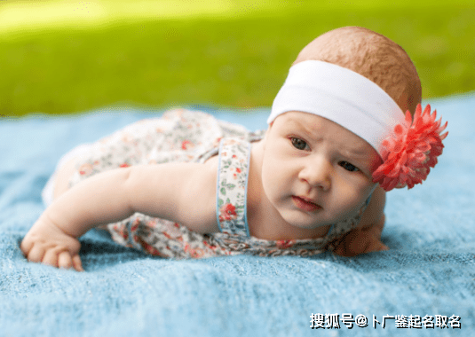 1250f57a8823403fb473981879587b87.png