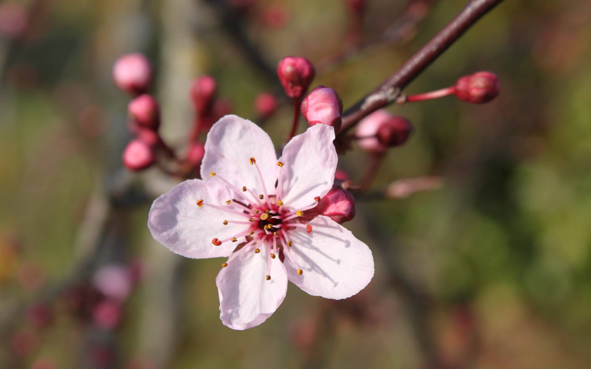 6月2日星座运势 义无反顾 成绩斐然的四大星座 生活