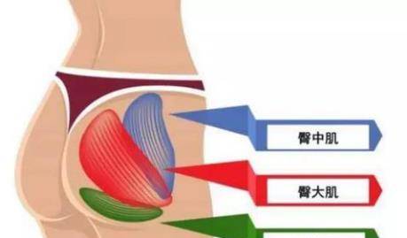 被稱為健身達人金剛芭比臀神中國第一健身女神