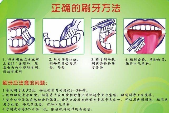 不同月龄宝宝的正确刷牙方法_口腔