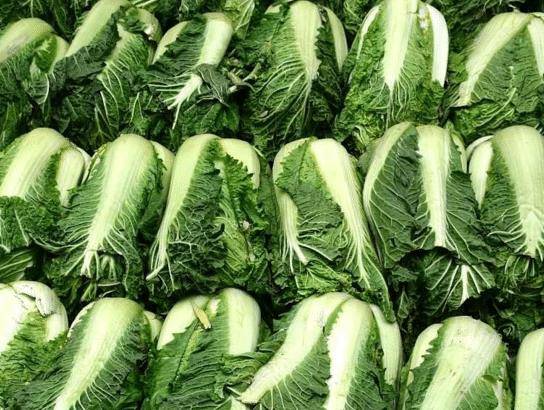 北方人为何冬天爱屯大白菜?一家囤上百斤白菜,怎么吃得完呢?_蔬菜