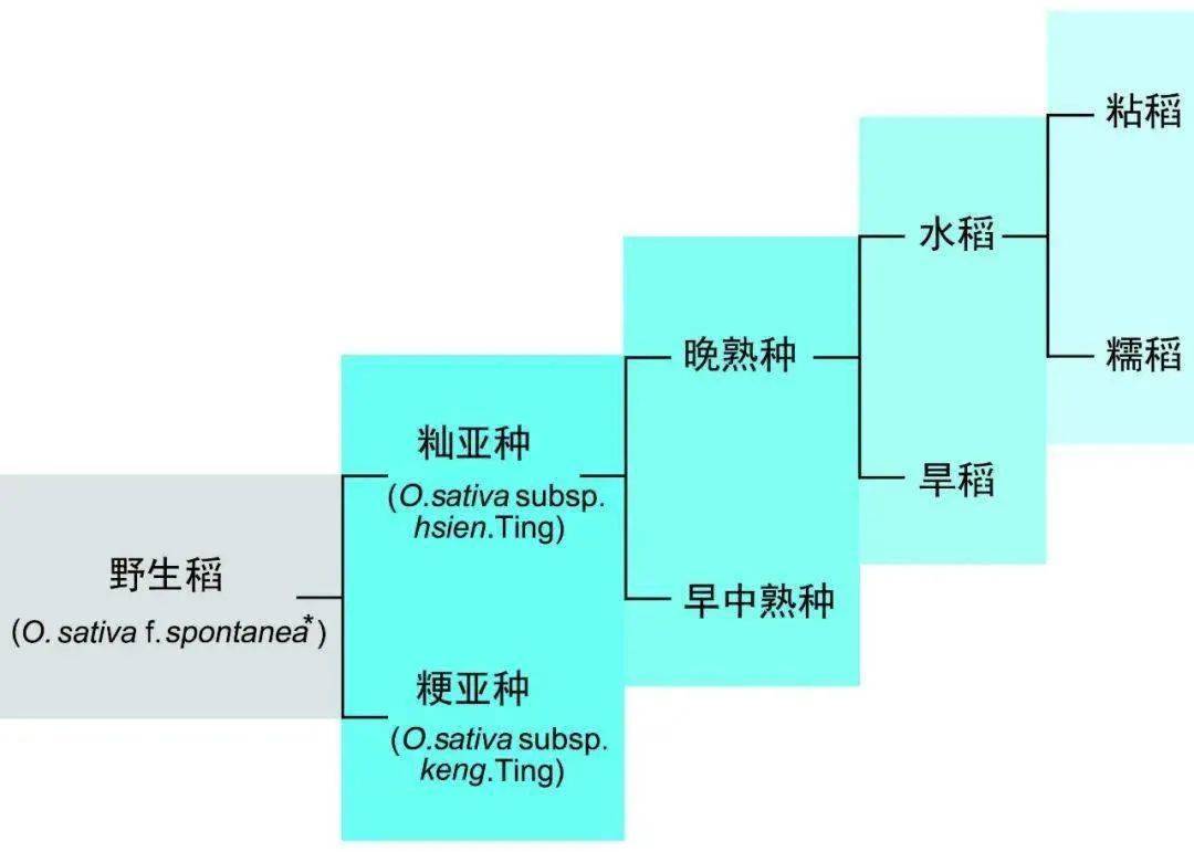 宋朝人口数量_宋朝时期中国的人口统计数据