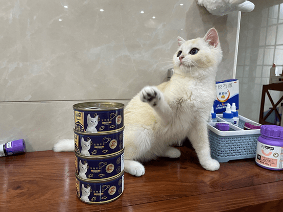 af314d1863f94318ad637fb3cbd2ad08.png