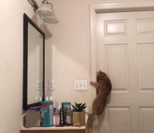 安装门教程全过程 386a324904e64dedba393b7d4e25efc3.jpeg