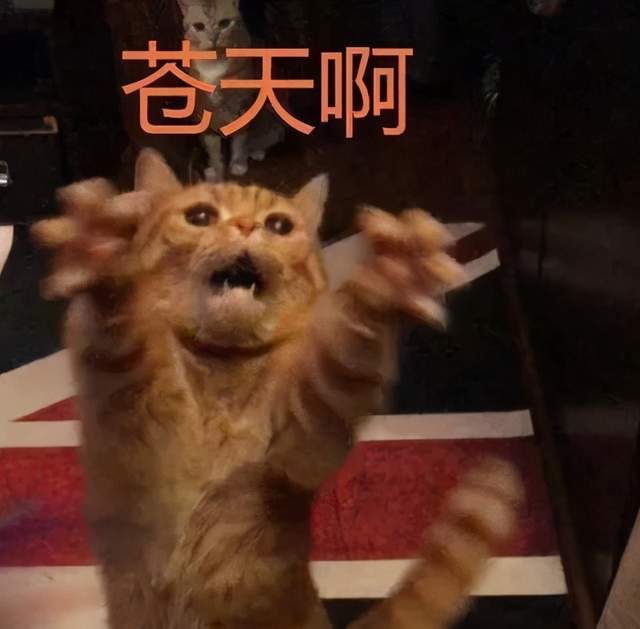 b64292394340463091e4b9df24ada818.jpeg