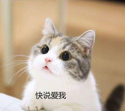 f61ac4bd29c747fea49f5d498b20dd3f.jpeg