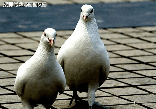714885f862a8484ba954d8d19ca12649.png