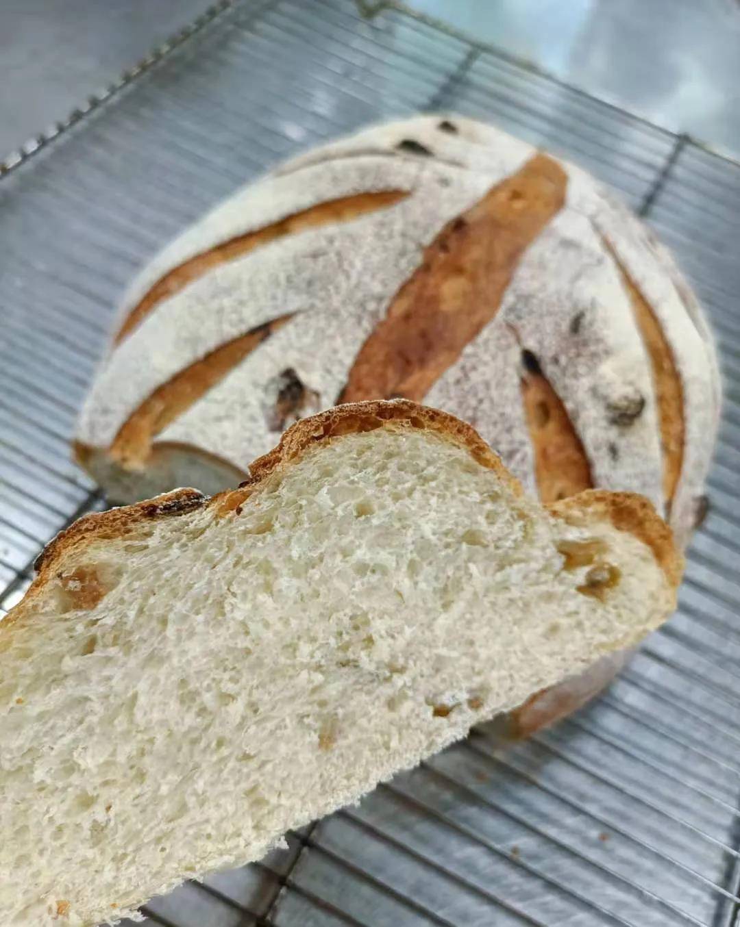 面粉是小麦的哪个部位 e0beefd6992245018b1a2cea2c049dac.jpeg